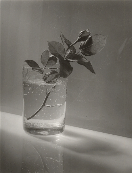 تعدادی از عکس های Josef Sudek