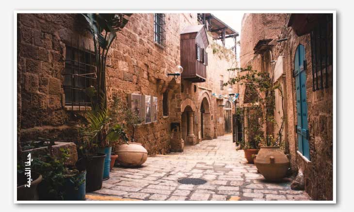 البرتقالة المشطورة: یافا فواحة الشعر وأندرومیدا الشعراء