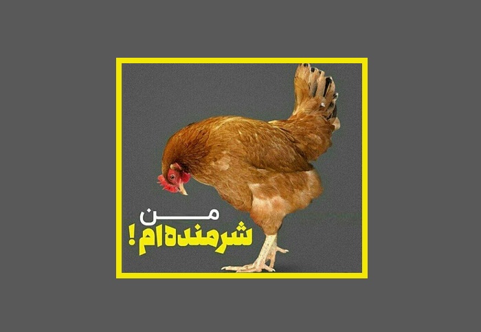 من شرمنده‌ام